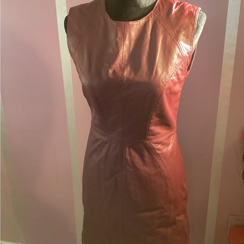 Aqua Burgundy Leather Mini Dress